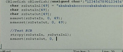 Blowfish code on a computer monitor
